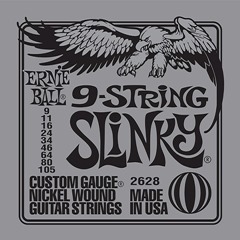 Ernie Ball 9-String Slinky